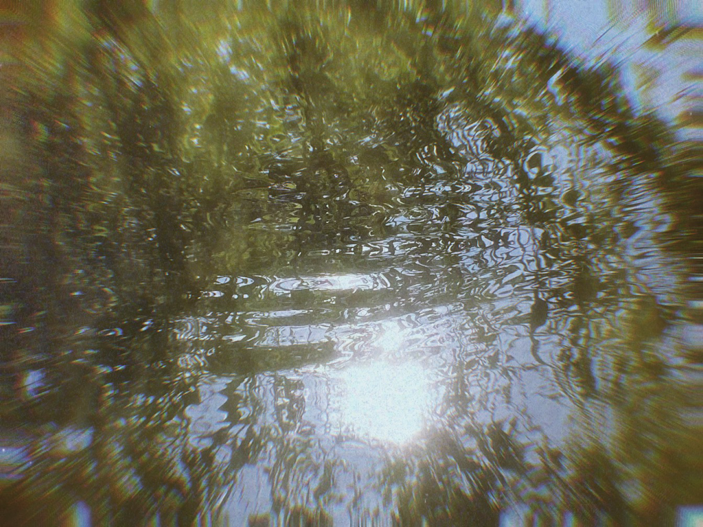 Ethereal sun reflection on green water pond or river 